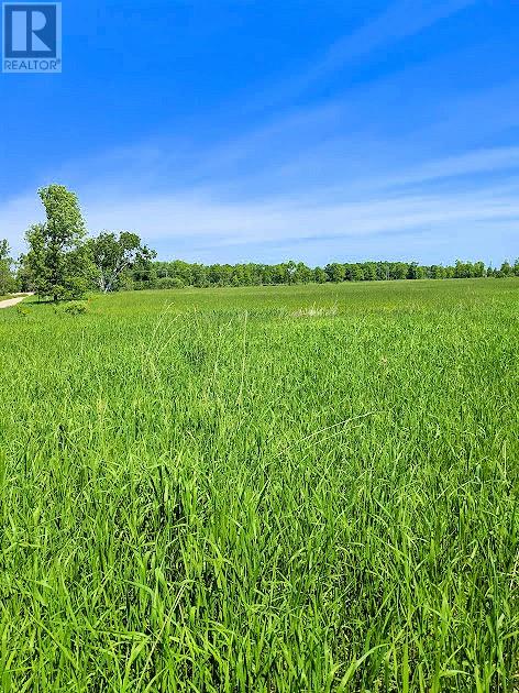 Second Lot Beach South Road, Kagawong, Ontario  P0P 1J0 - Photo 8 - 2126197