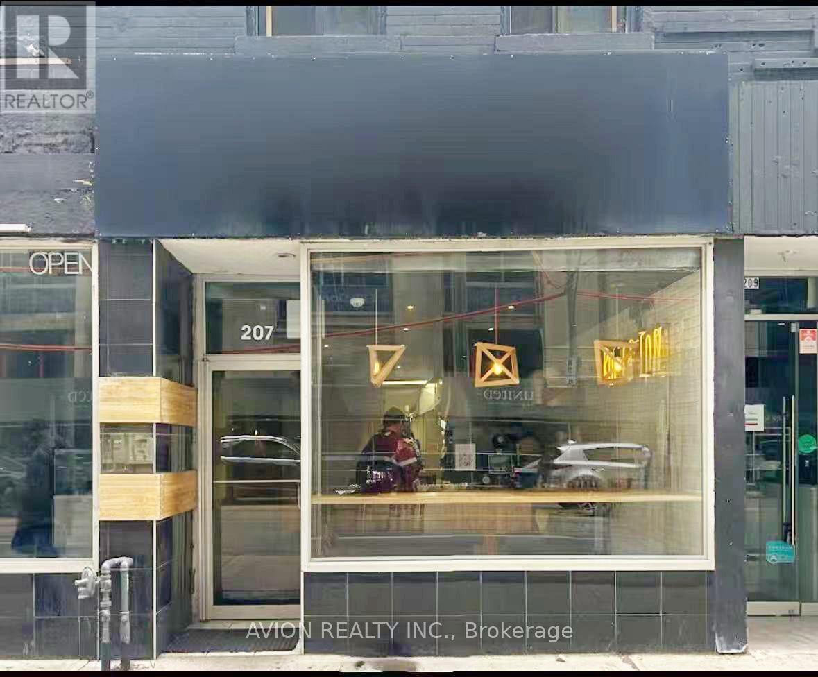 207 DUNDAS STREET W, Toronto, Ontario