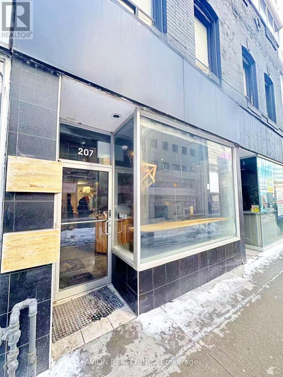 207 Dundas Street W, Toronto, Ontario  M5G 1C8 - Photo 5 - C12727072