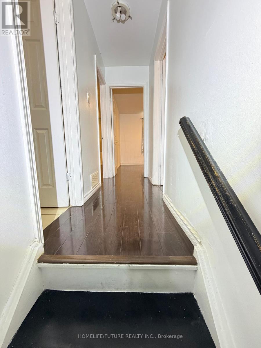 Main & Lower - 145 Bruce Beer Drive, Brampton, Ontario  L6V 3J2 - Photo 15 - W12705510