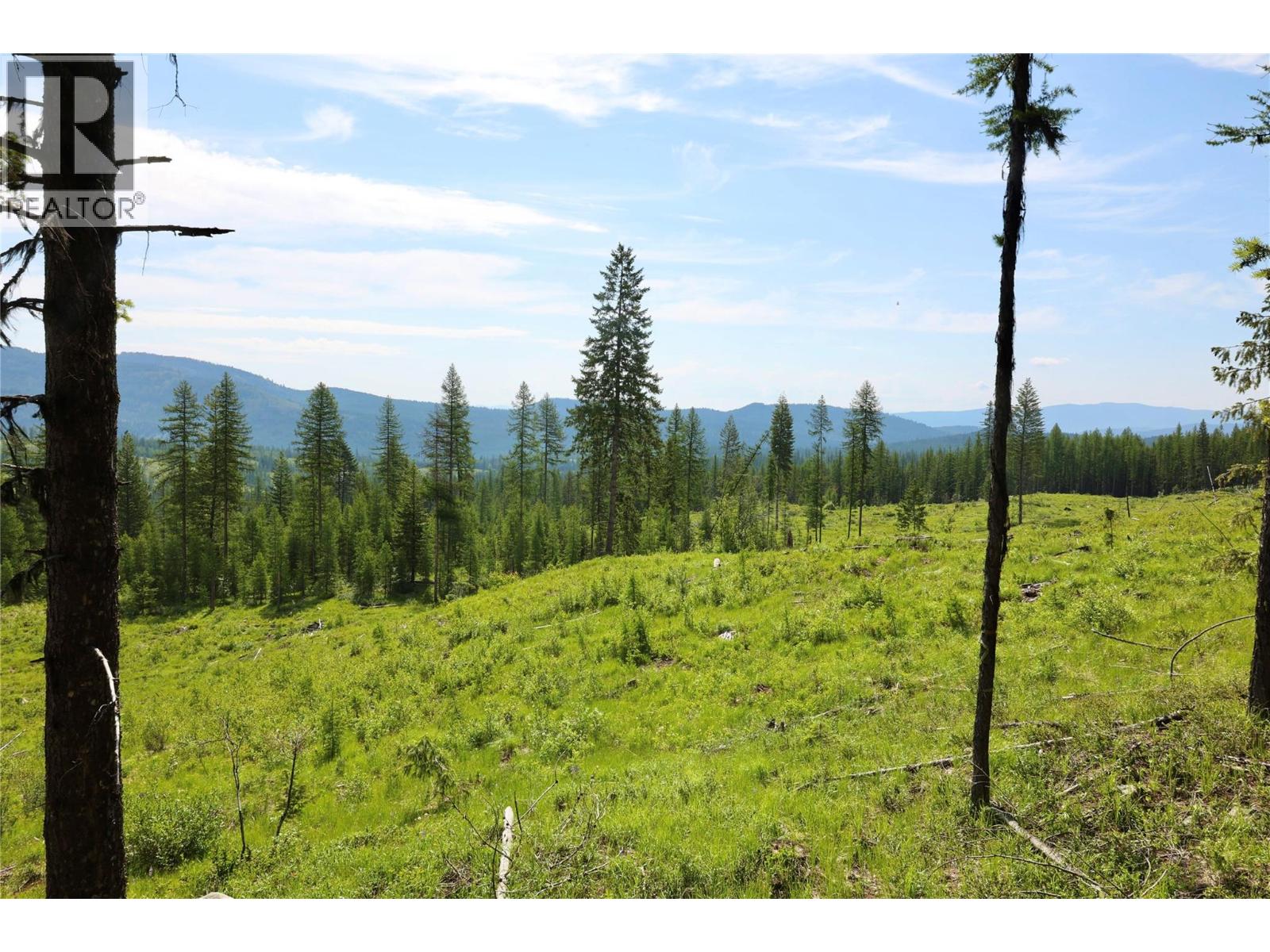 2375 Belchrome Fsr Road, Bridesville, British Columbia  V0H 1Y0 - Photo 15 - 10317100