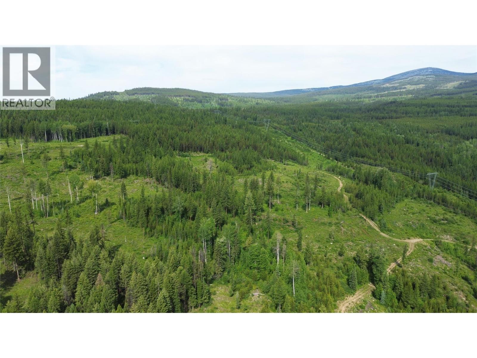 2375 Belchrome Fsr Road, Bridesville, British Columbia  V0H 1Y0 - Photo 18 - 10317100