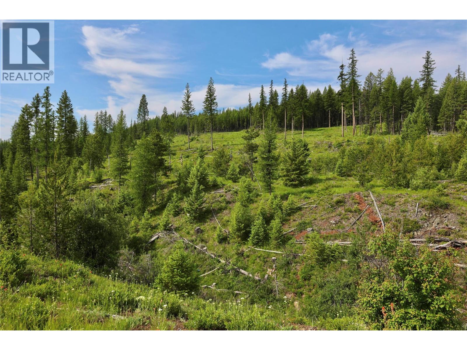 2375 Belchrome Fsr Road, Bridesville, British Columbia  V0H 1Y0 - Photo 3 - 10317100