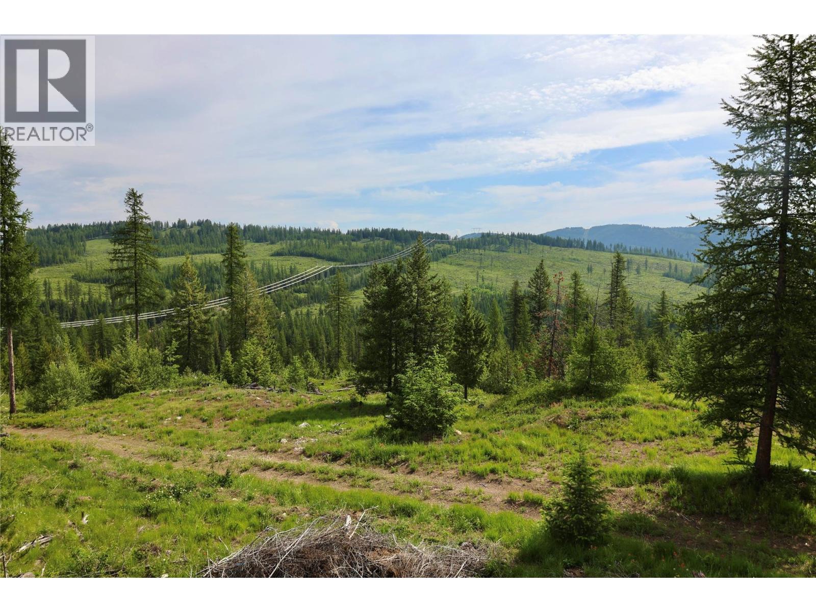 2375 Belchrome Fsr Road, Bridesville, British Columbia  V0H 1Y0 - Photo 4 - 10317100