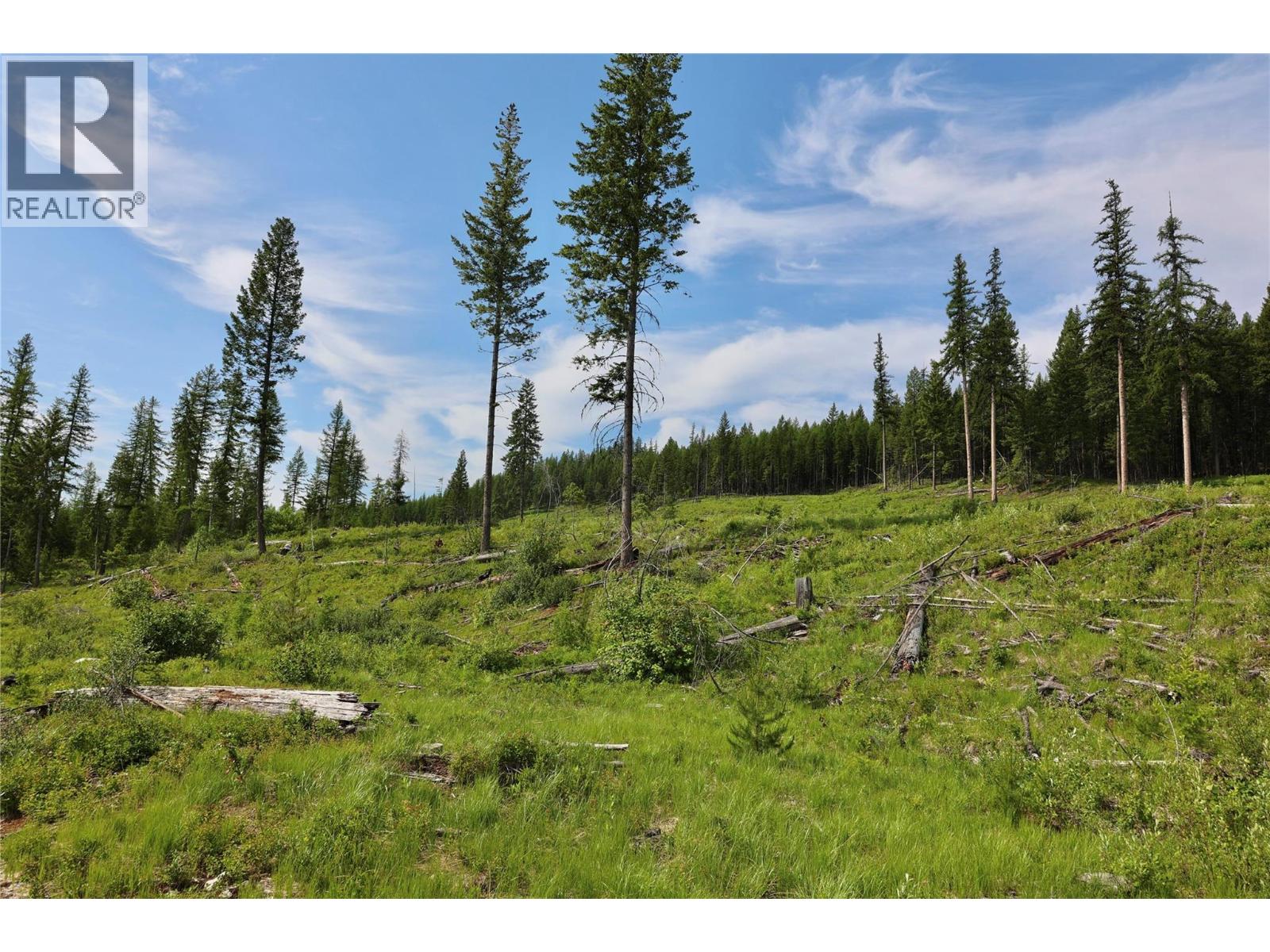 2375 Belchrome Fsr Road, Bridesville, British Columbia  V0H 1Y0 - Photo 11 - 10317100