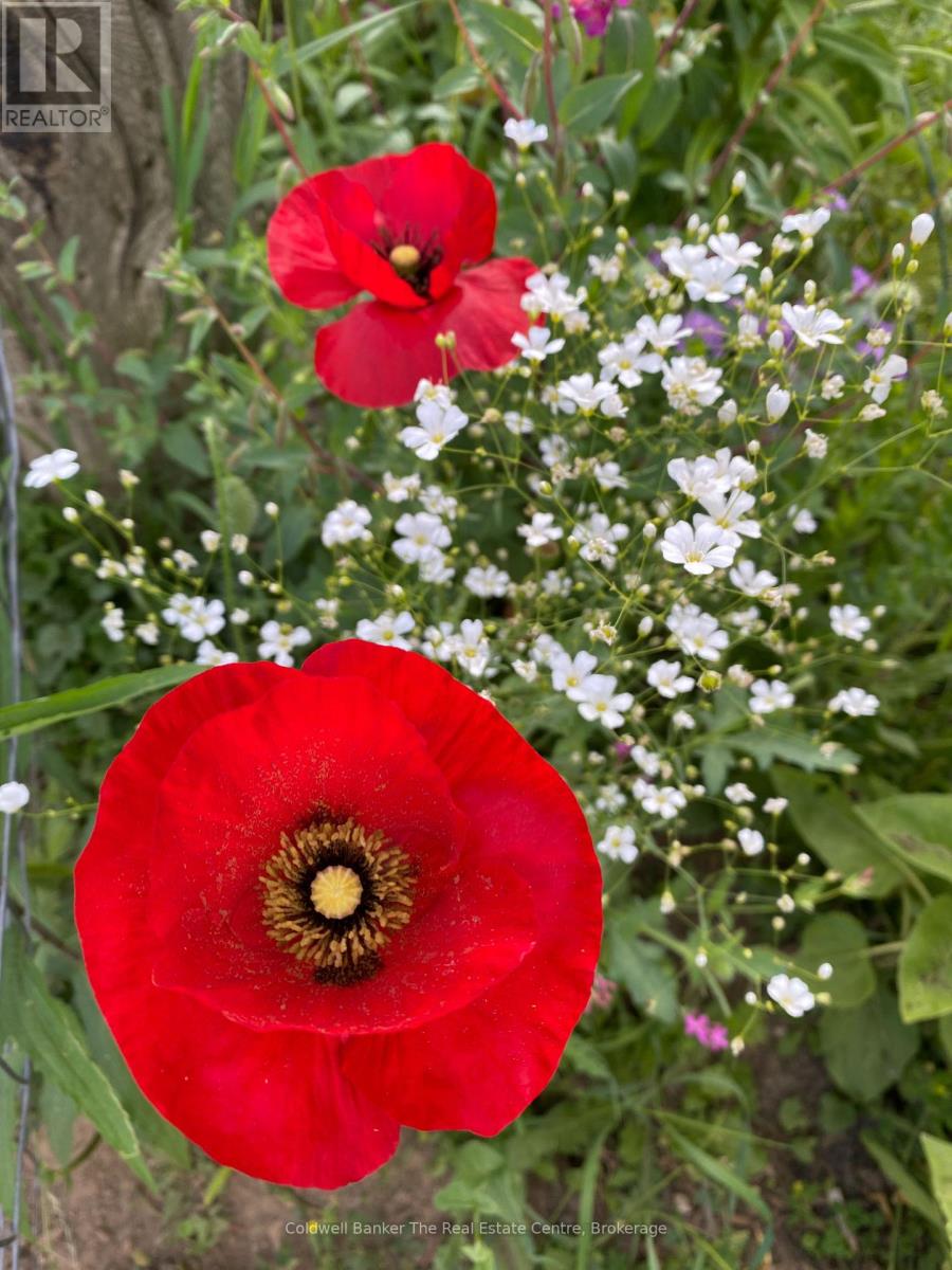 1229 County Road 124, Clearview, Ontario  N0C 1M0 - Photo 49 - S12712114