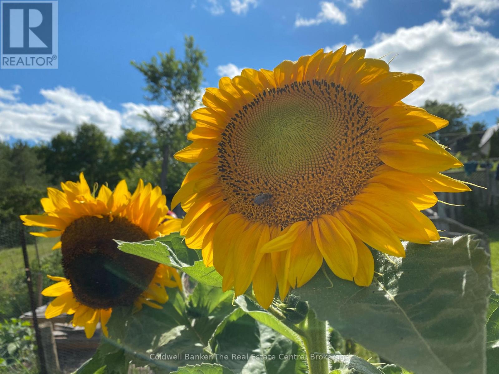 1229 County Road 124, Clearview, Ontario  N0C 1M0 - Photo 47 - S12712114