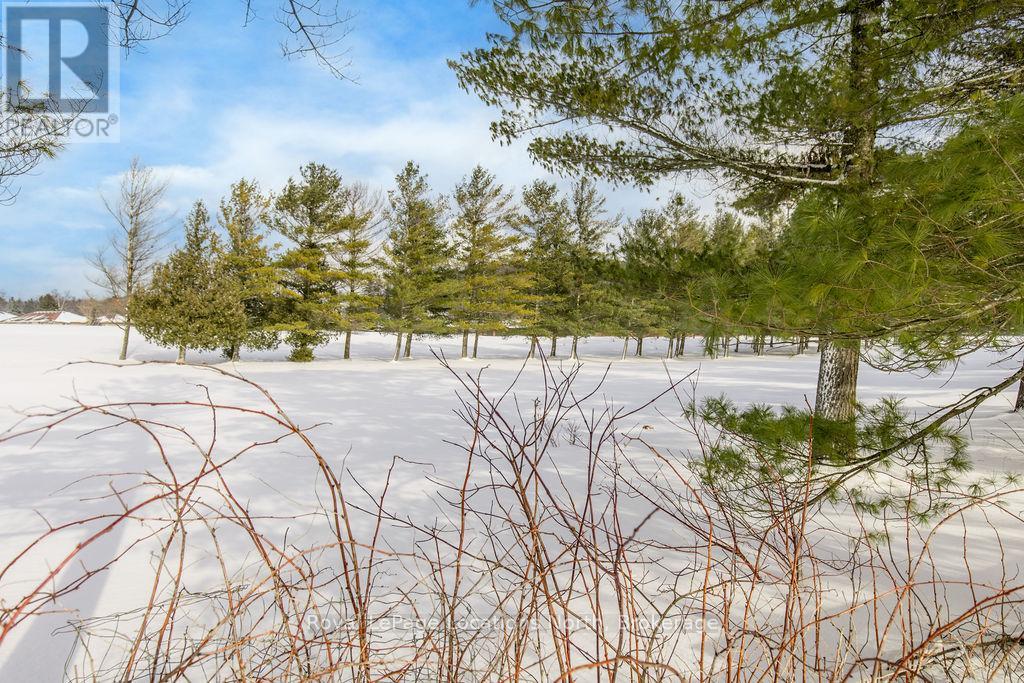 59 Wasaga Sands Drive, Wasaga Beach, Ontario  L9Z 1J4 - Photo 38 - S12727250