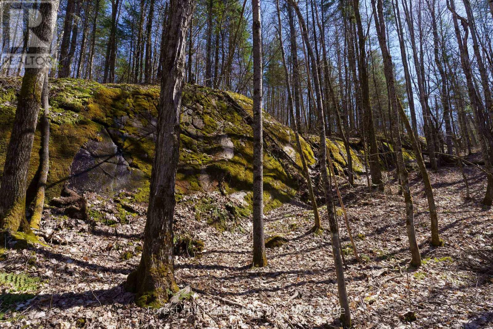 Lt32c9 Concession Line Concession, Lake Of Bays, Ontario  P0A 1B0 - Photo 14 - X12727282