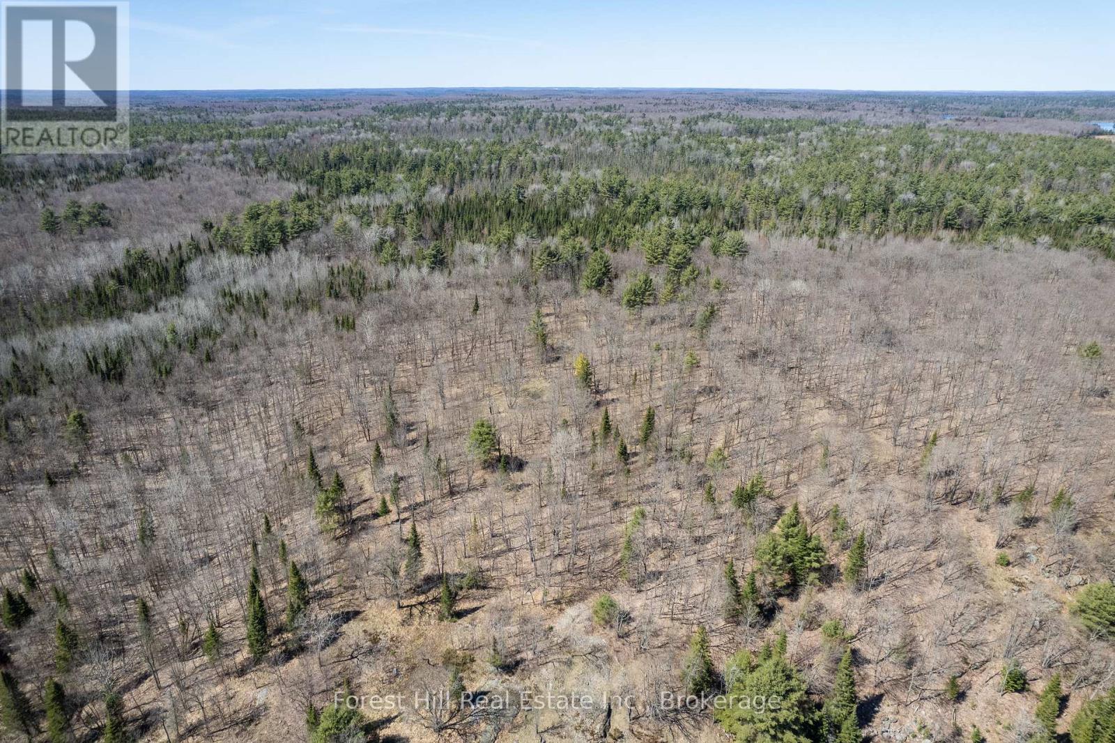 Lt32c9 Concession Line Concession, Lake Of Bays, Ontario  P0A 1B0 - Photo 20 - X12727282