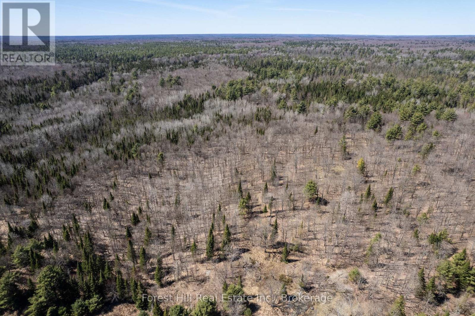 Lt32c9 Concession Line Concession, Lake Of Bays, Ontario  P0A 1B0 - Photo 31 - X12727282