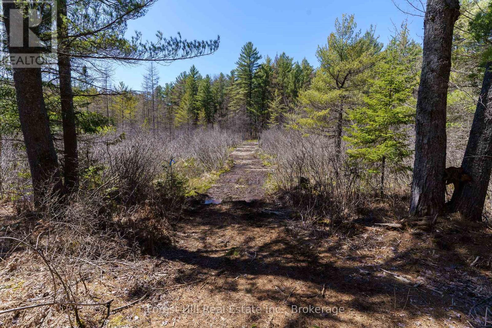 Lt32c9 Concession Line Concession, Lake Of Bays, Ontario  P0A 1B0 - Photo 4 - X12727282