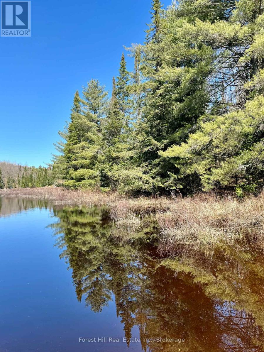 Lt32c9 Concession Line Concession, Lake Of Bays, Ontario  P0A 1B0 - Photo 46 - X12727282