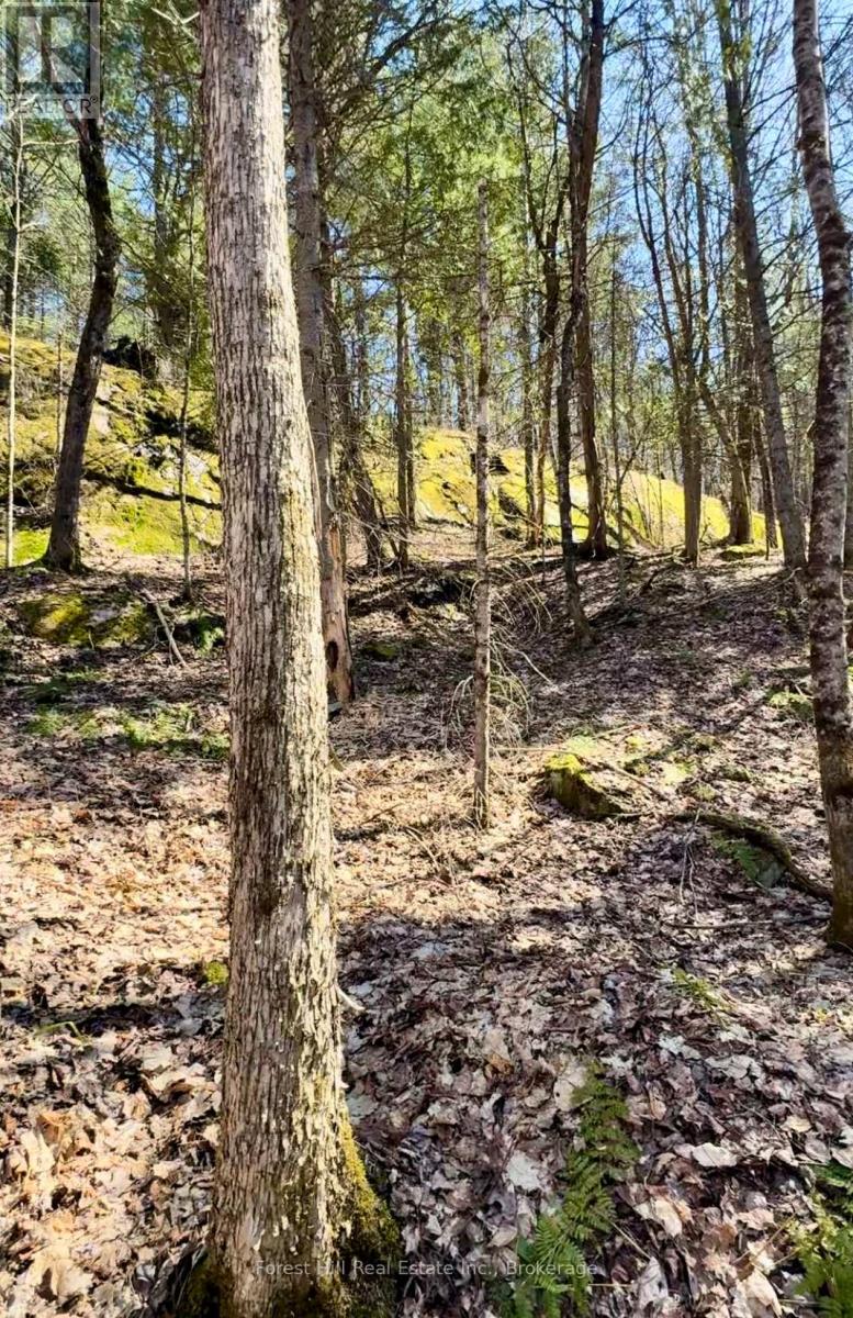 Lt32c9 Concession Line Concession, Lake Of Bays, Ontario  P0A 1B0 - Photo 49 - X12727282