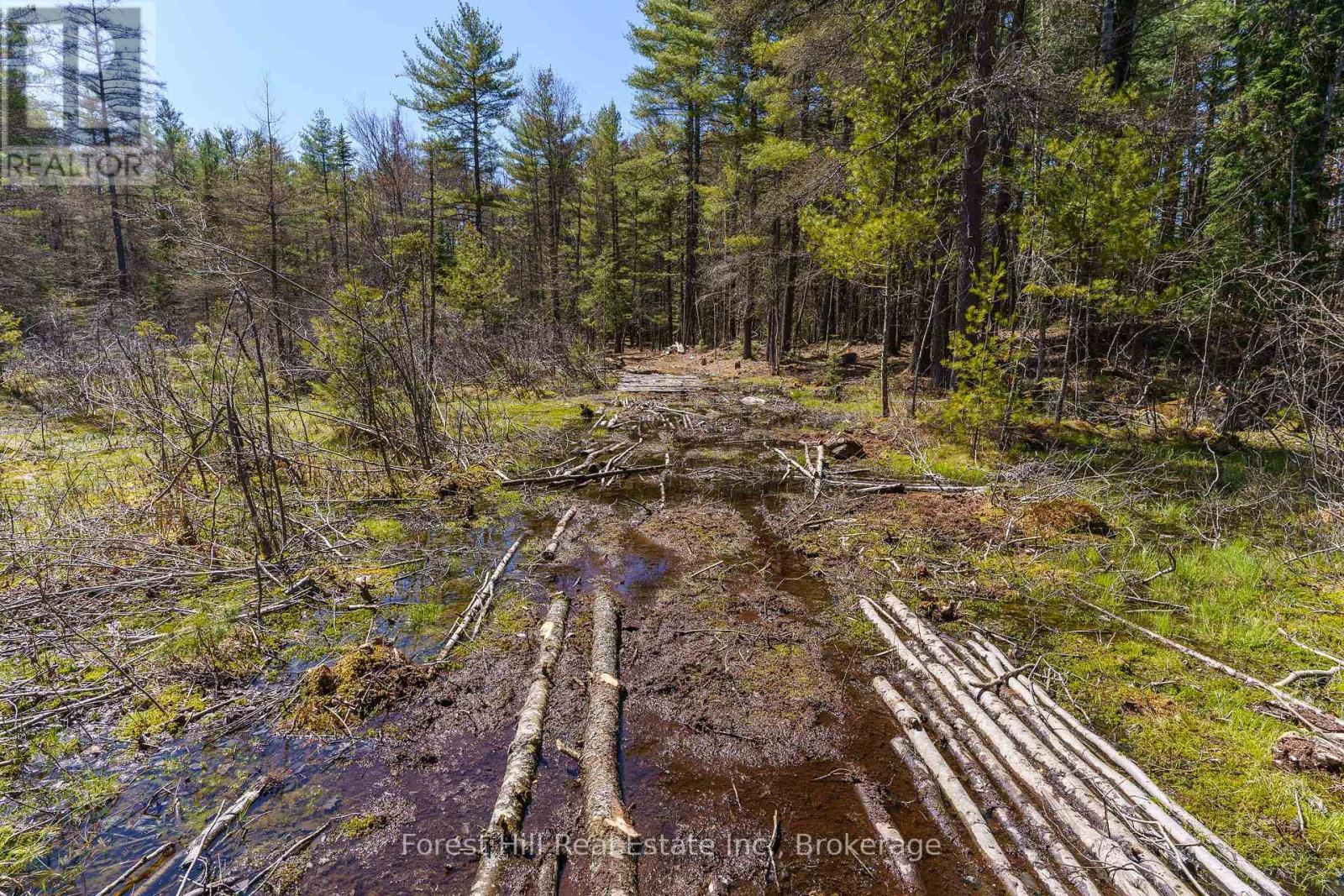 Lt32c9 Concession Line Concession, Lake Of Bays, Ontario  P0A 1B0 - Photo 7 - X12727282