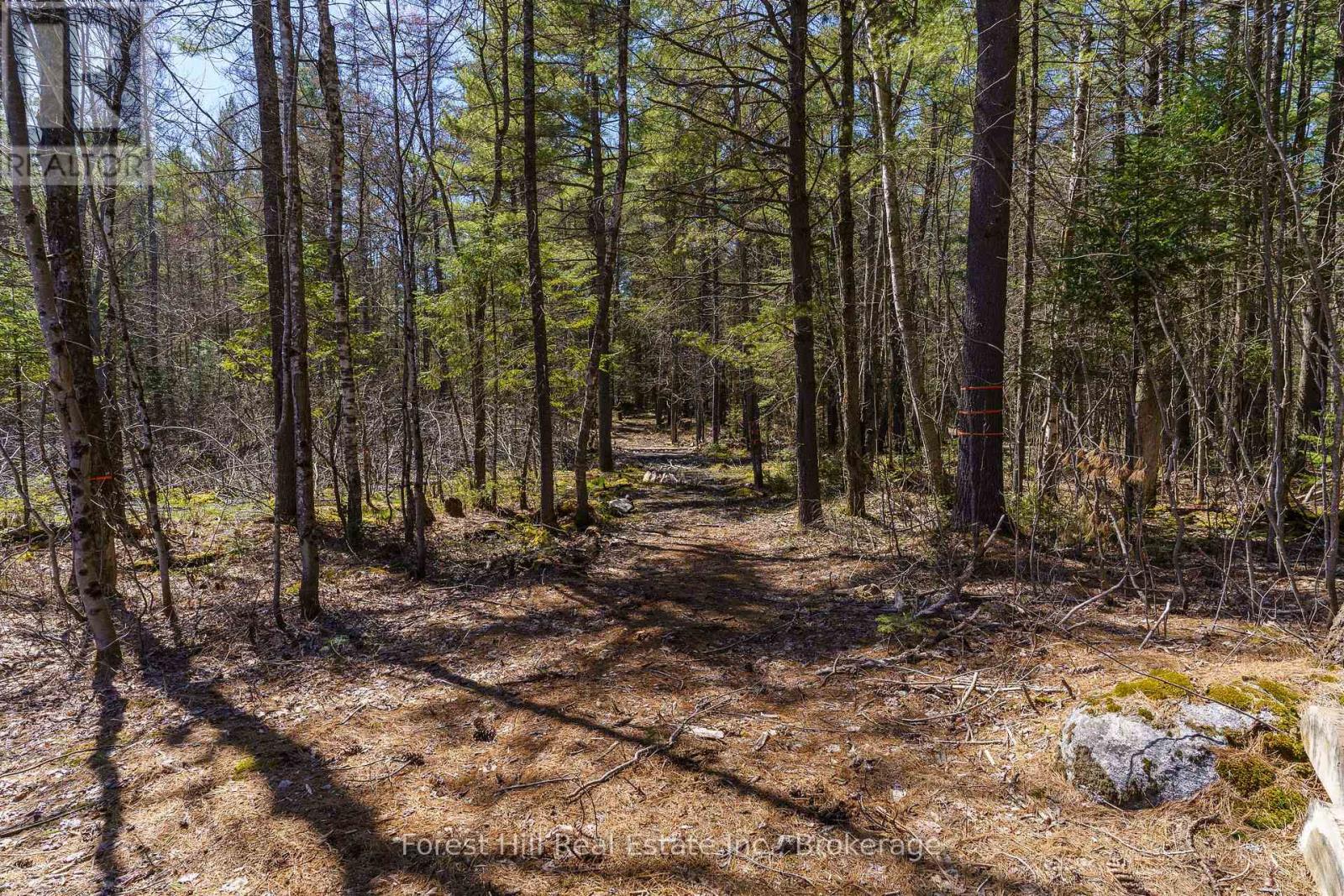 Lt32c9 Concession Line Concession, Lake Of Bays, Ontario  P0A 1B0 - Photo 8 - X12727282