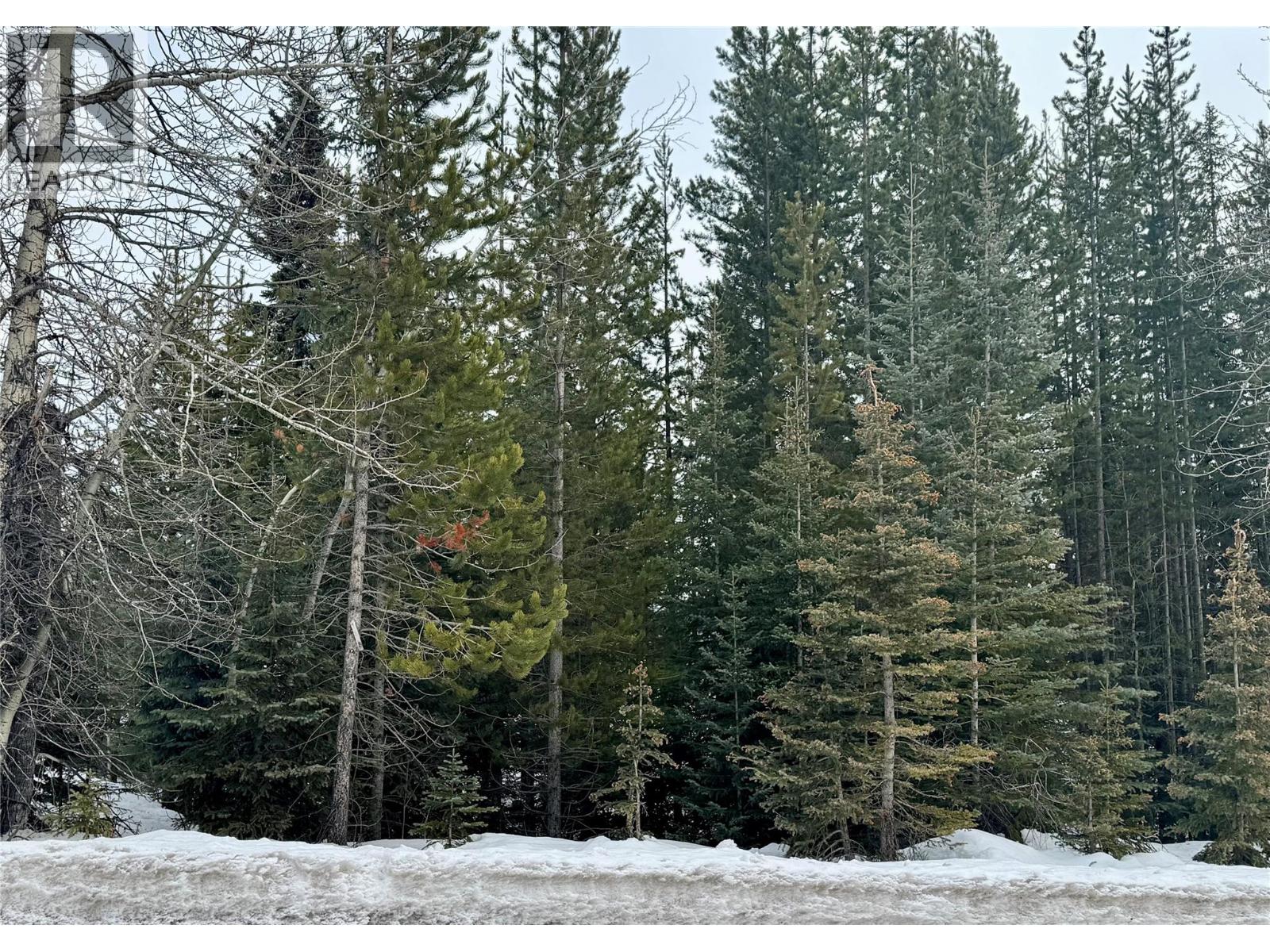 53 Dawson Crescent, Elkford, British Columbia  V0B 1H0 - Photo 1 - 10373473