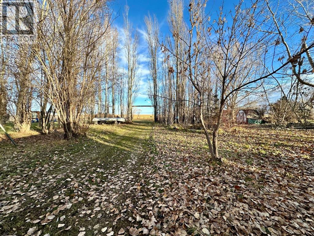 122 Blue Heron Road, Rural Newell, Alberta  T1R 0S1 - Photo 23 - A2270812