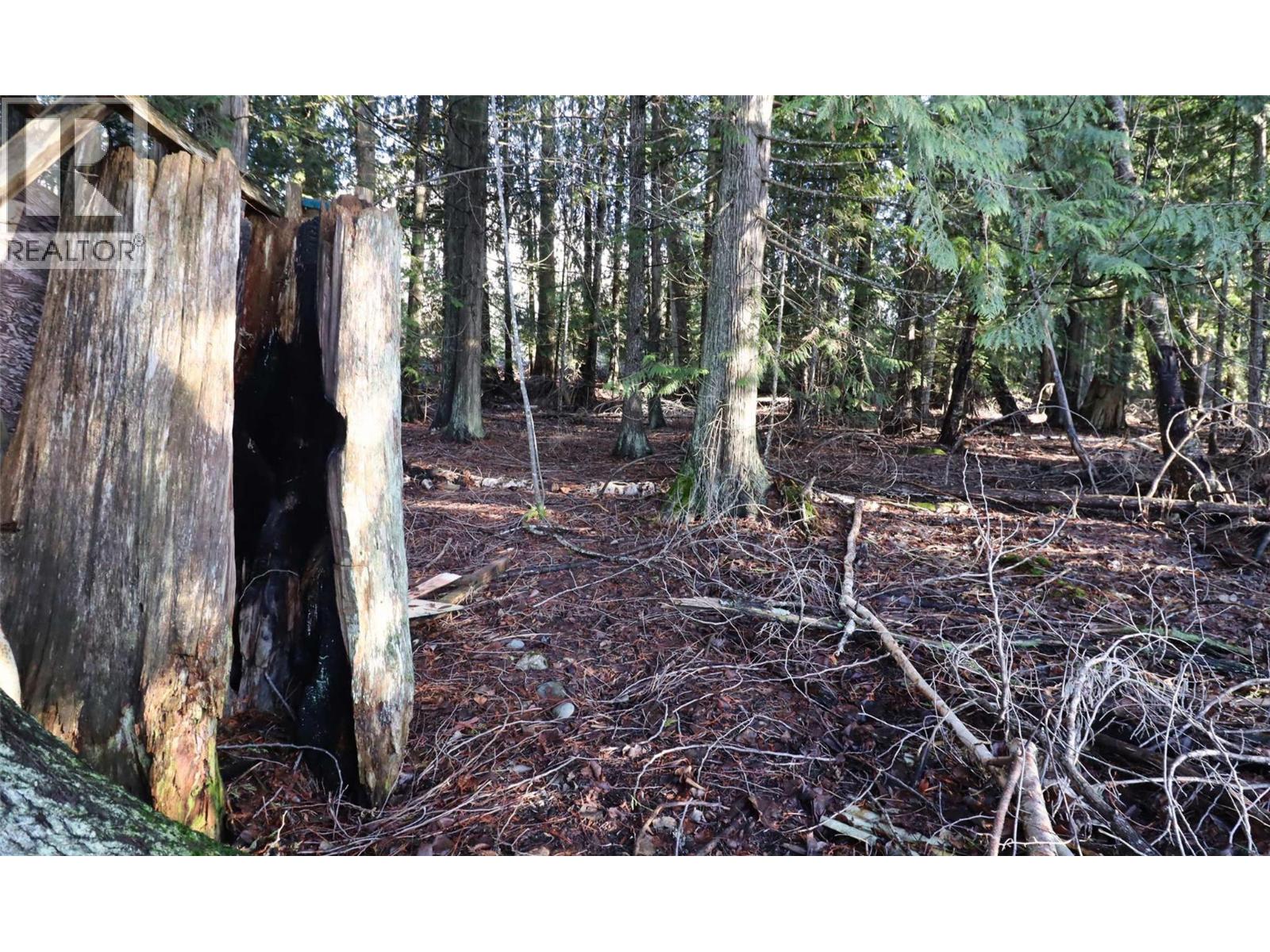 6884 Squilax-Anglemont Road, Magna Bay, British Columbia  V0E 1M7 - Photo 82 - 10373549