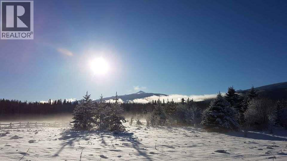 3325 Garrett Road, Mcbride - Rural West, British Columbia  V0J 2E0 - Photo 13 - R3082840