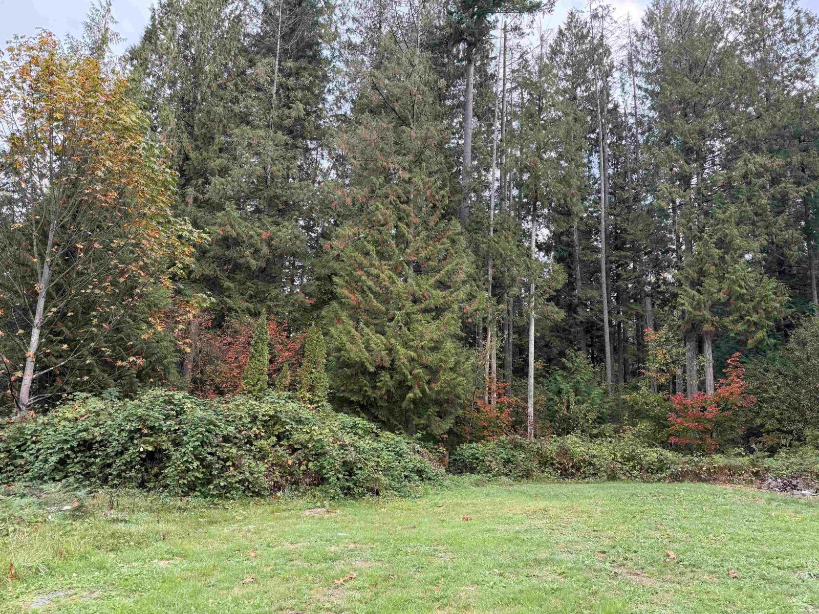 30727 Keystone Avenue, Mission, British Columbia  V4S 1G5 - Photo 8 - R3059556