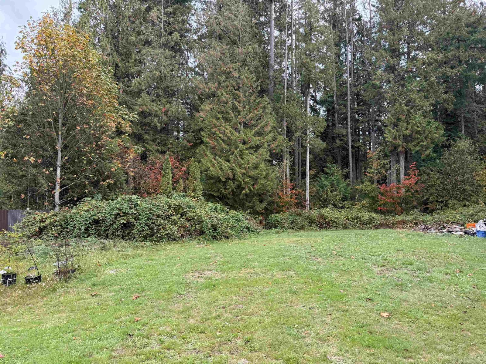 30727 Keystone Avenue, Mission, British Columbia  V4S 1G5 - Photo 7 - R3059556