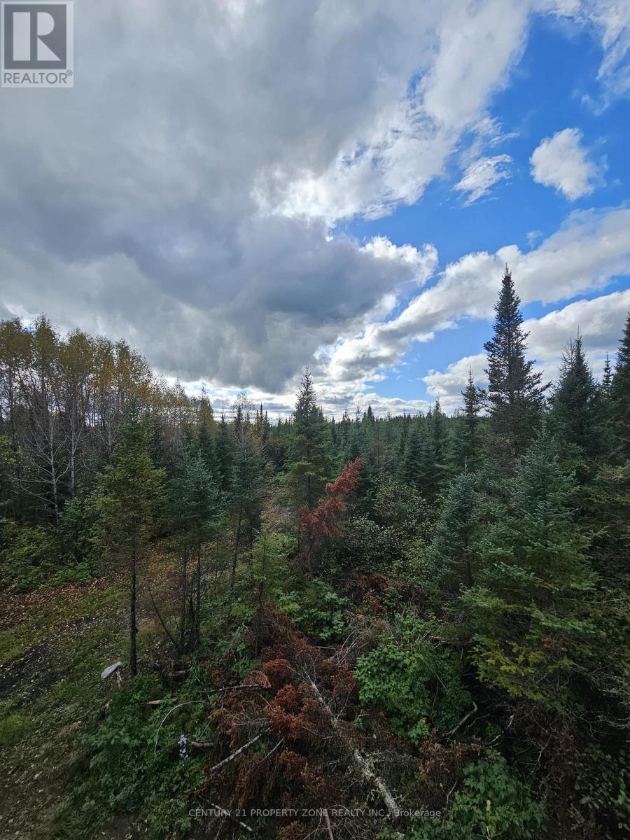 320 Mcnee Road, Hearst, Ontario  P0L 1N0 - Photo 5 - T12727442