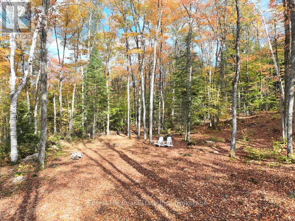 4488 Kawagama Lake Road, Algonquin Highlands, Ontario  P0A 1E0 - Photo 2 - X12727504