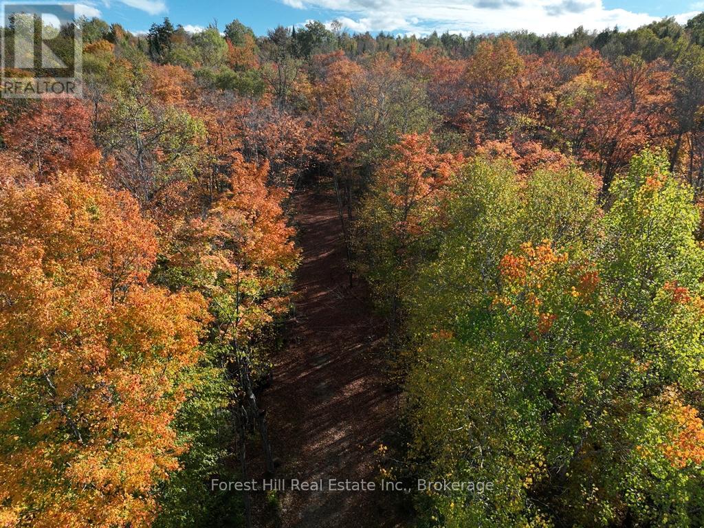 4488 Kawagama Lake Road, Algonquin Highlands, Ontario  P0A 1E0 - Photo 25 - X12727504