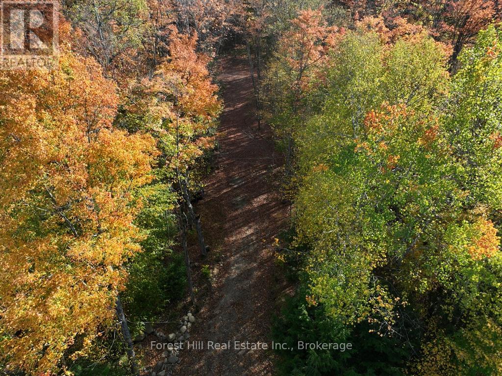 4488 Kawagama Lake Road, Algonquin Highlands, Ontario  P0A 1E0 - Photo 27 - X12727504