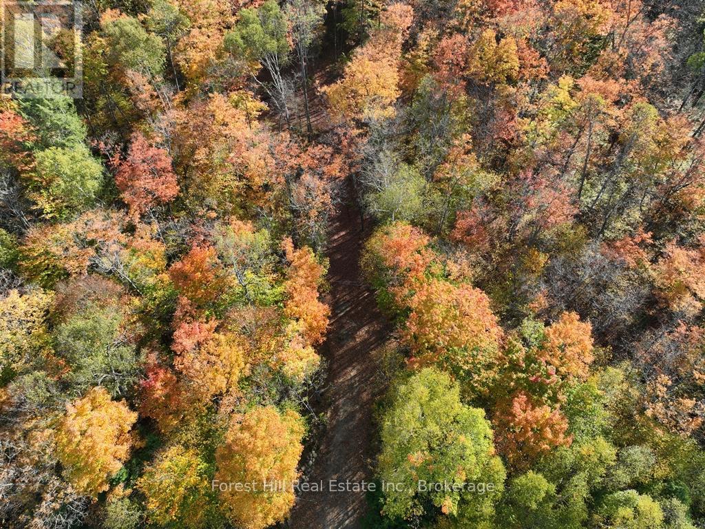 4488 Kawagama Lake Road, Algonquin Highlands, Ontario  P0A 1E0 - Photo 28 - X12727504