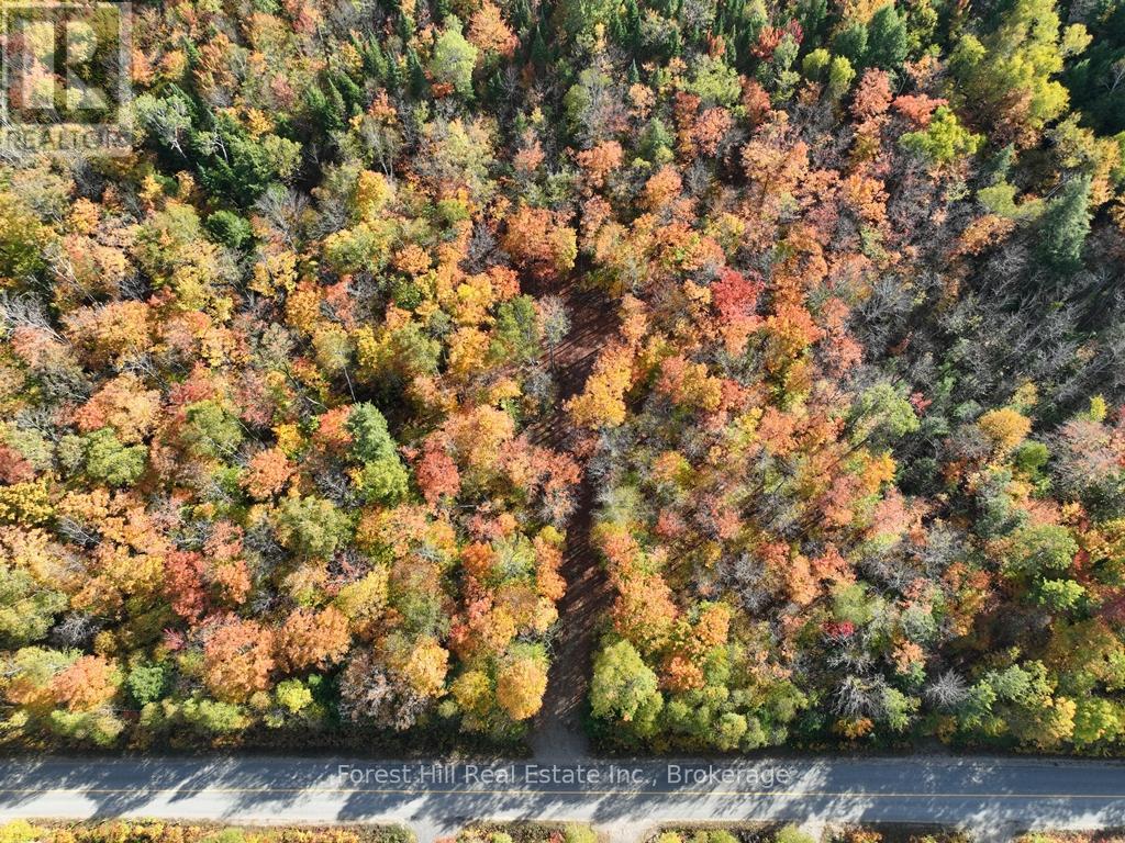 4488 Kawagama Lake Road, Algonquin Highlands, Ontario  P0A 1E0 - Photo 29 - X12727504