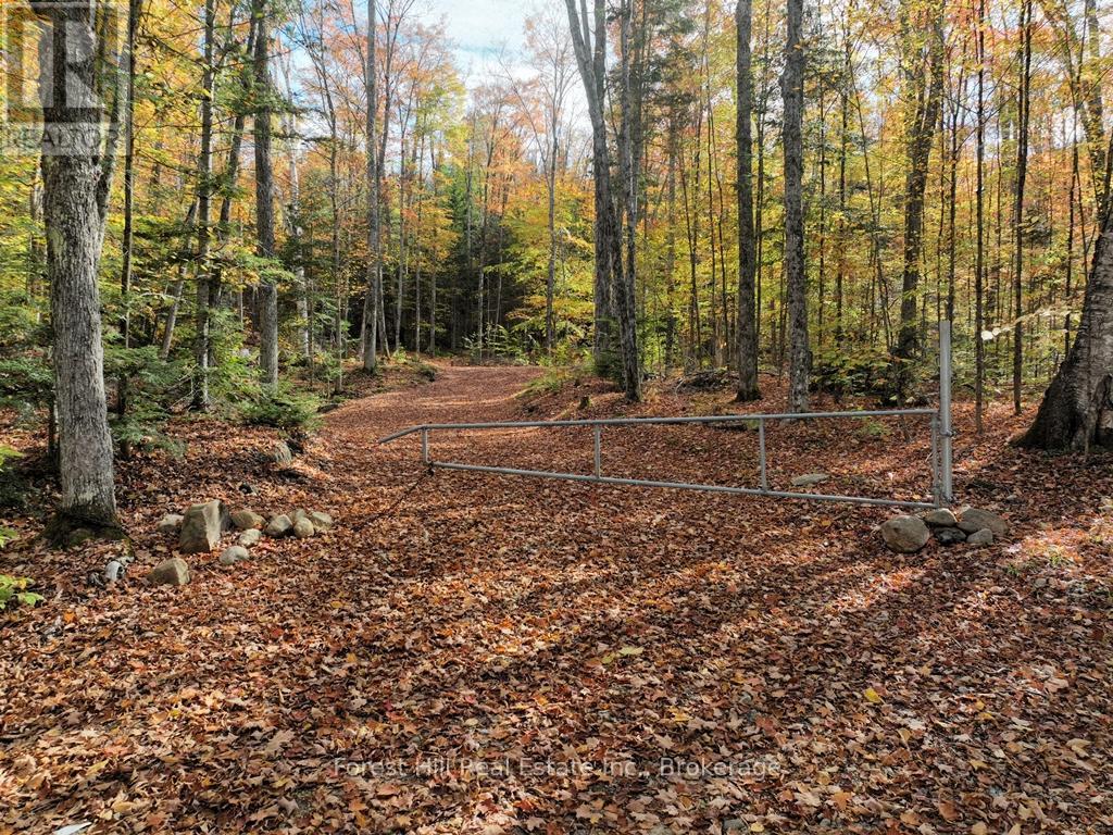 4488 Kawagama Lake Road, Algonquin Highlands, Ontario  P0A 1E0 - Photo 3 - X12727504