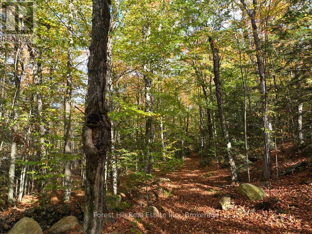 4488 Kawagama Lake Road, Algonquin Highlands, Ontario  P0A 1E0 - Photo 32 - X12727504