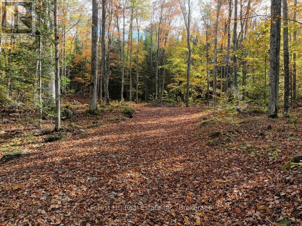 4488 Kawagama Lake Road, Algonquin Highlands, Ontario  P0A 1E0 - Photo 33 - X12727504