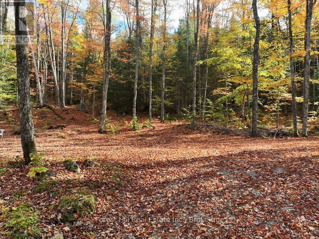 4488 Kawagama Lake Road, Algonquin Highlands, Ontario  P0A 1E0 - Photo 34 - X12727504