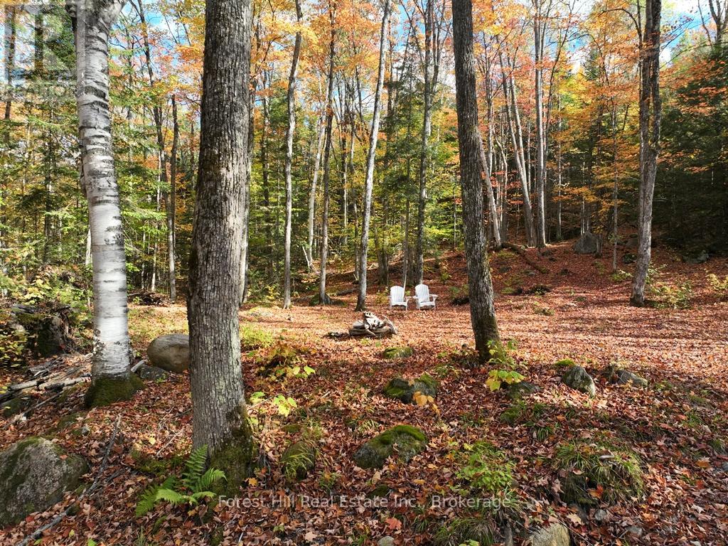 4488 Kawagama Lake Road, Algonquin Highlands, Ontario  P0A 1E0 - Photo 36 - X12727504