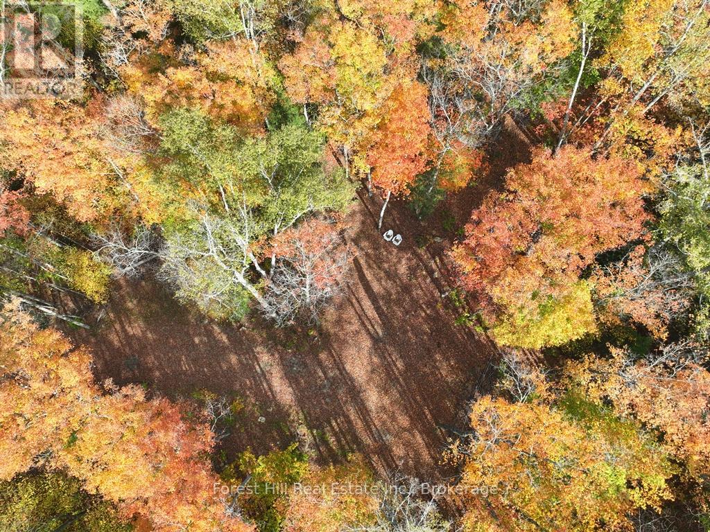 4488 Kawagama Lake Road, Algonquin Highlands, Ontario  P0A 1E0 - Photo 40 - X12727504