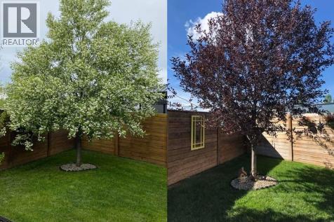 60 Walden Parade Se, Calgary, Alberta  T2X 0Z6 - Photo 46 - A2279766