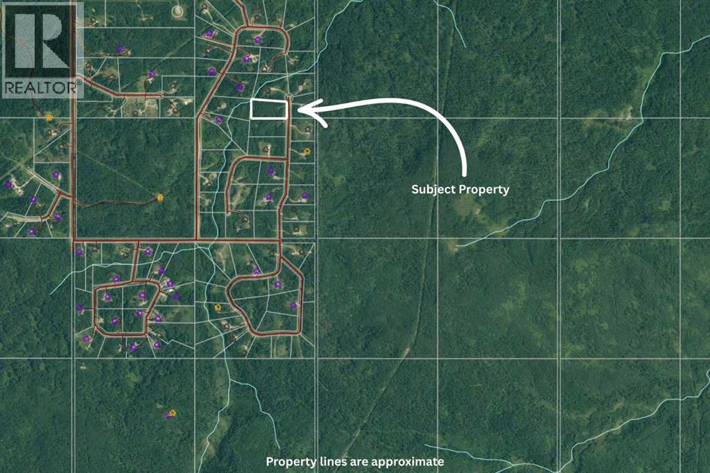 Lot 19 Mountain Springs, Rural Woodlands County, Alberta  T7S 1N3 - Photo 5 - A2254939