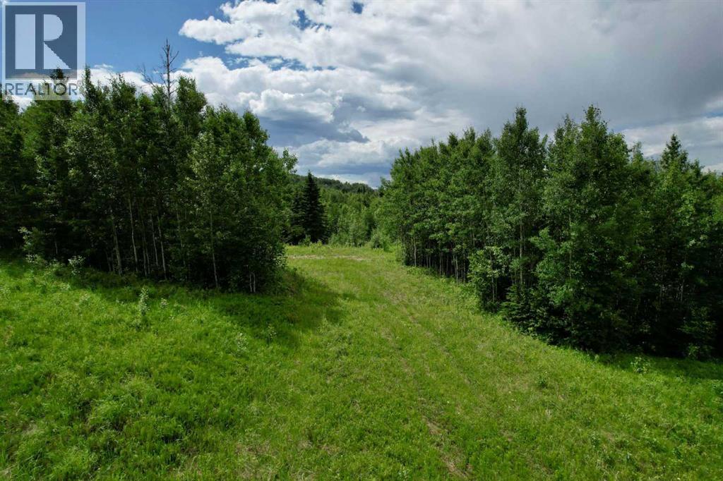 Lot 19 Mountain Springs, Rural Woodlands County, Alberta  T7S 1N3 - Photo 7 - A2254939