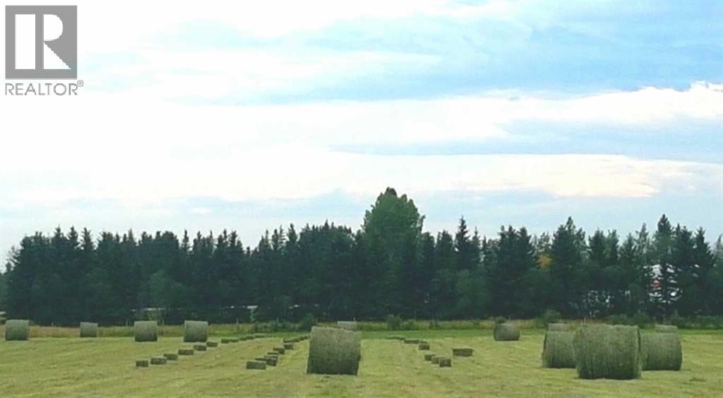 390039 Range Road 5-4, Rural Clearwater County, Alberta  T0M 0C0 - Photo 6 - A2100749