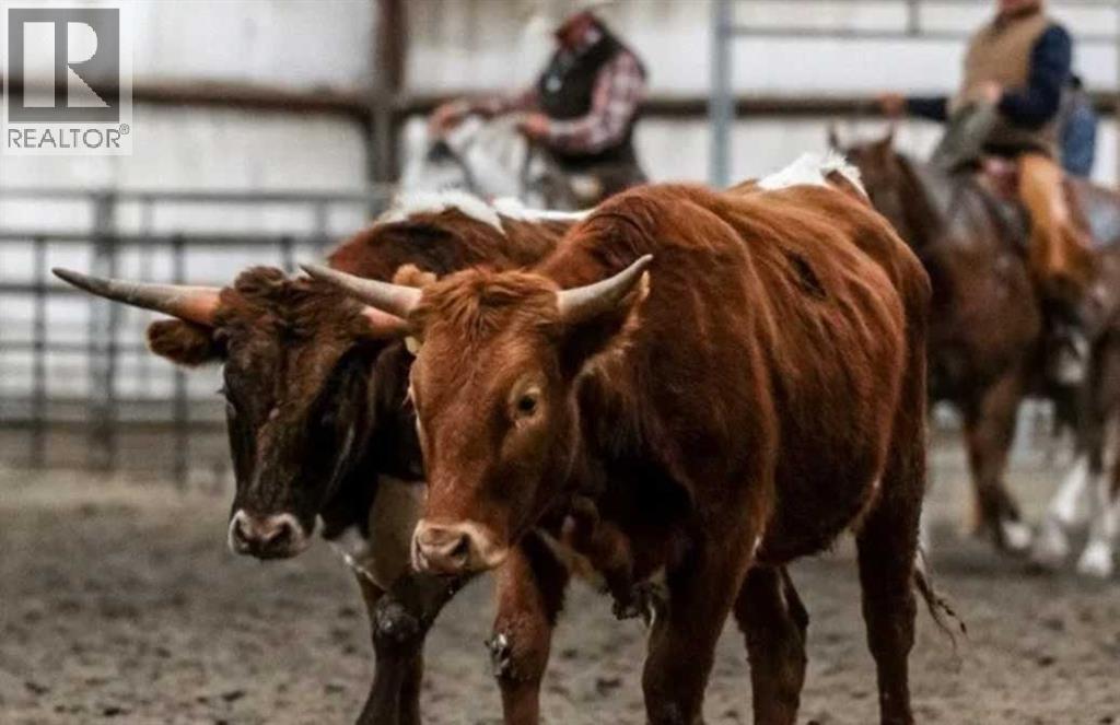 390039 Range Road 5-4, Rural Clearwater County, Alberta  T0M 0C0 - Photo 40 - A2100749