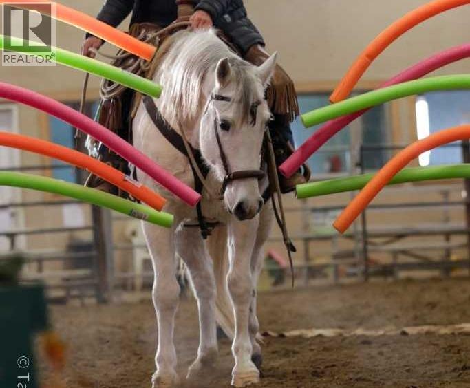 390039 Range Road 5-4, Rural Clearwater County, Alberta  T0M 0C0 - Photo 34 - A2100749