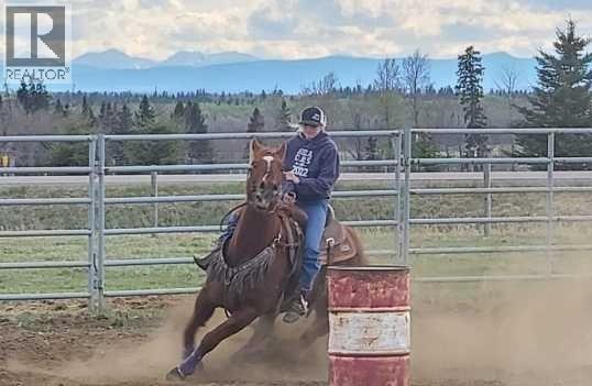 390039 Range Road 5-4, Rural Clearwater County, Alberta  T0M 0C0 - Photo 41 - A2100749