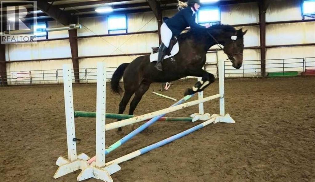 390039 Range Road 5-4, Rural Clearwater County, Alberta  T0M 0C0 - Photo 42 - A2100749