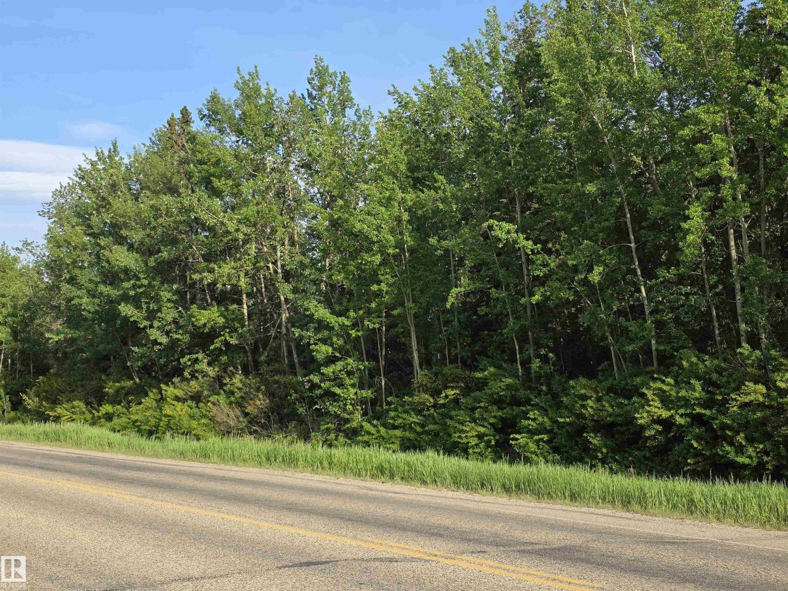 10035 Hwy 13, Rural Wetaskiwin County, Alberta  T0C 2V0 - Photo 3 - E4441178