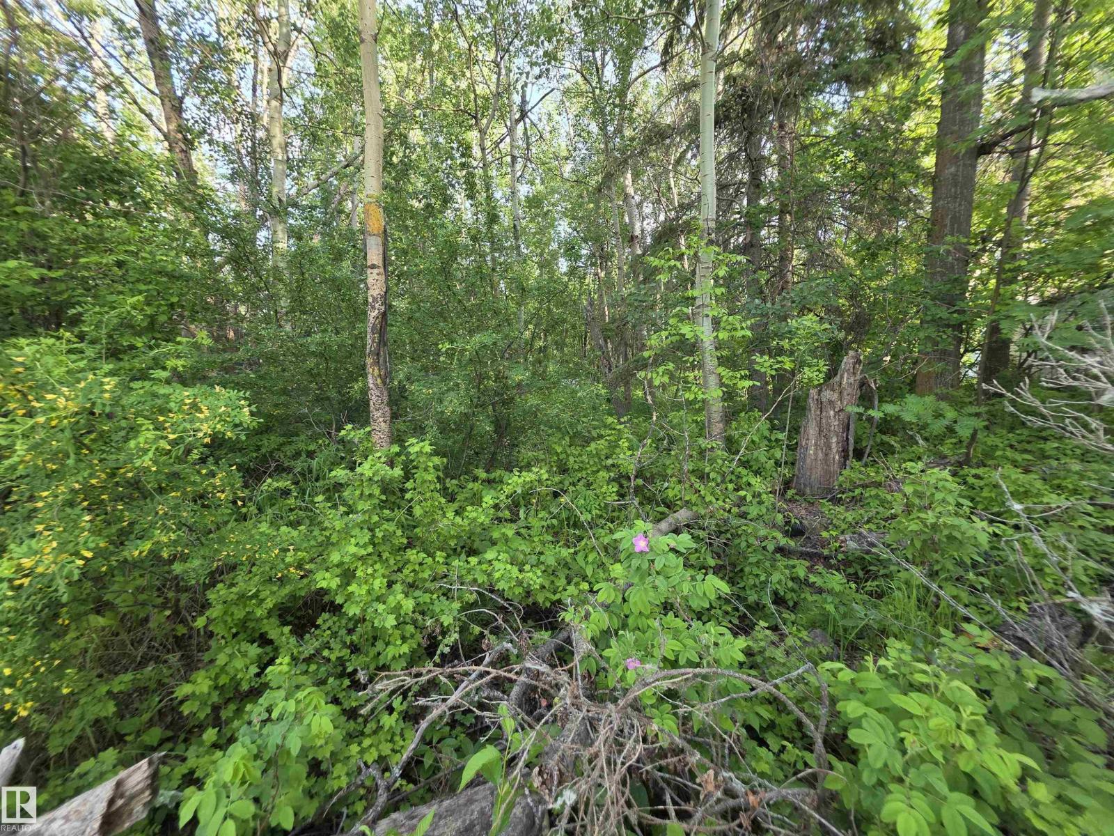 10035 Hwy 13, Rural Wetaskiwin County, Alberta  T0C 2V0 - Photo 6 - E4441178