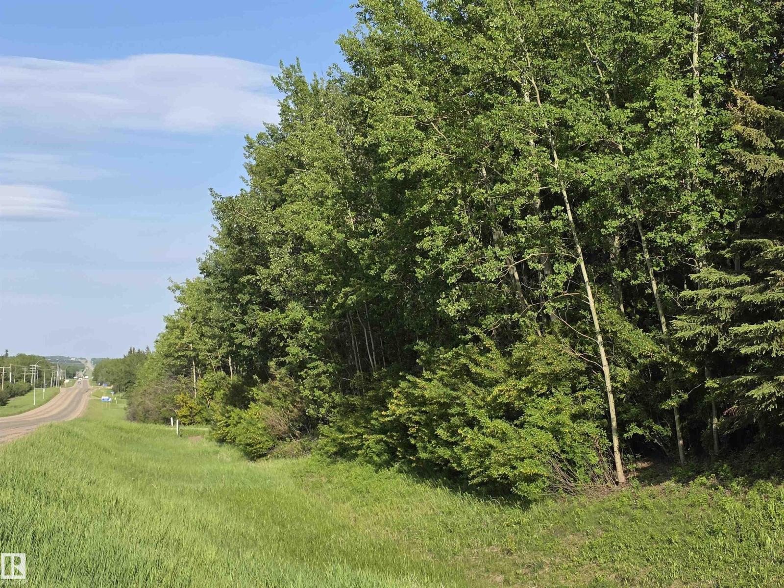 10035 Hwy 13, Rural Wetaskiwin County, Alberta  T0C 2V0 - Photo 4 - E4441178
