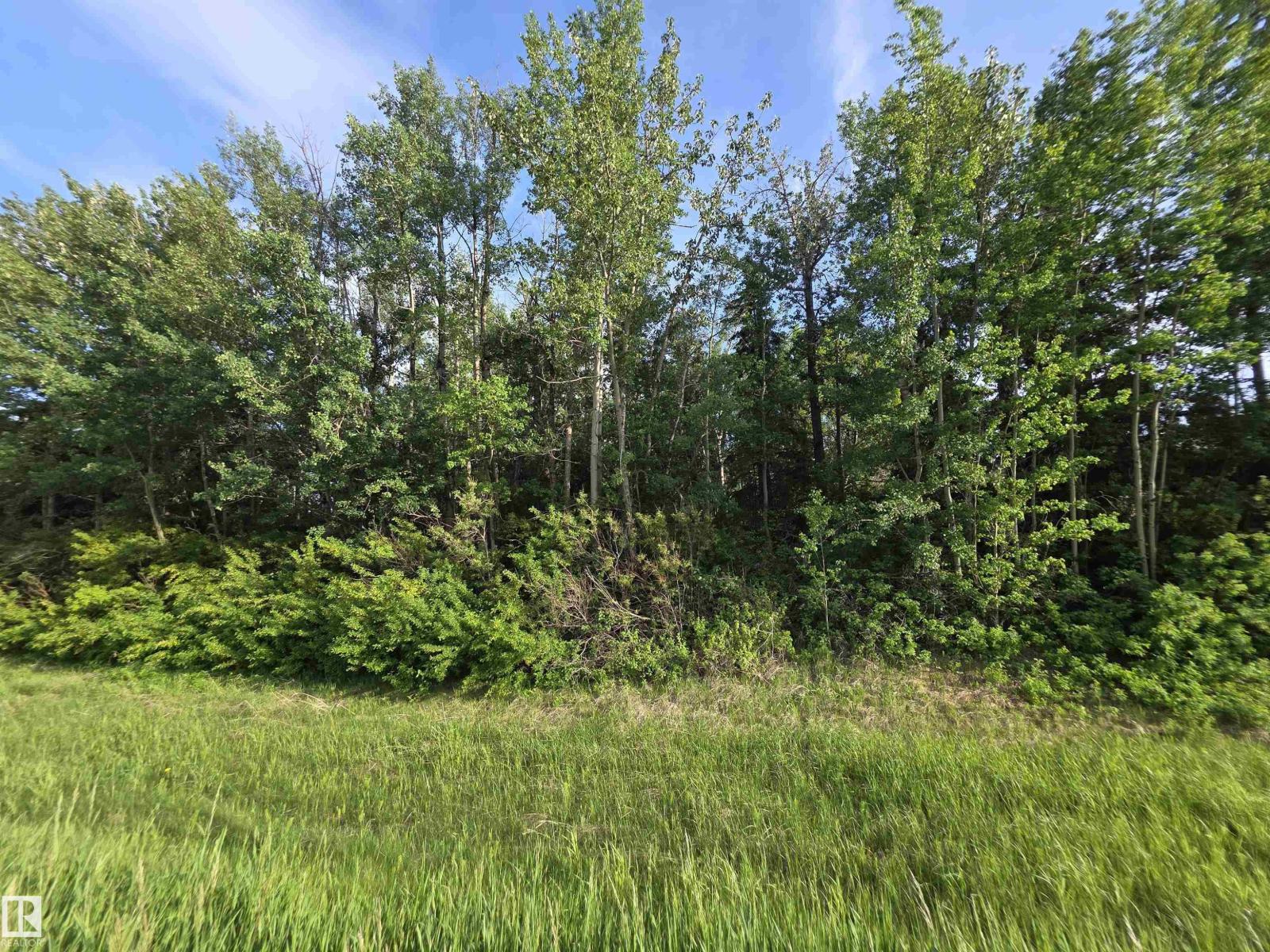 10035 Hwy 13, Rural Wetaskiwin County, Alberta  T0C 2V0 - Photo 7 - E4441178